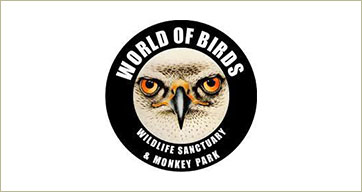 World of Birds